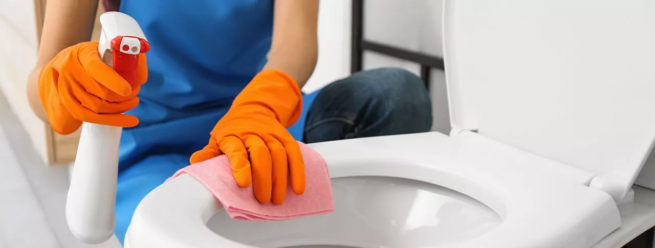 WC-Sitz: Pflege und Reinigung WC-Sitz: Pflege und Reinigung